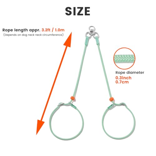 Slip Lead Leash 2 Dogs (Green / w/o Handle)