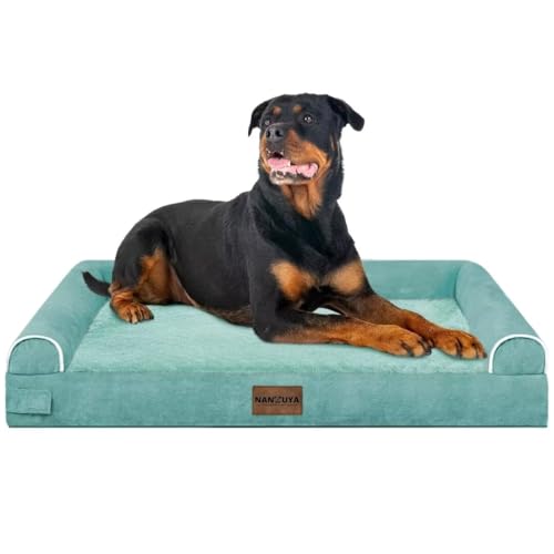 Orthopedic Dog Bed for XX (Aqua Blue / 44.0"L x 34.0"W x 6.5"Th)