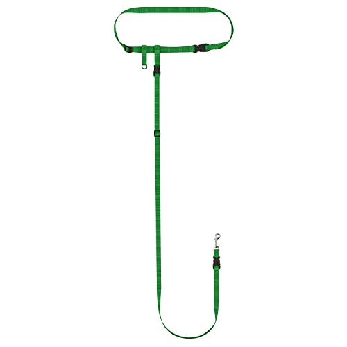 Hands Free Dog Leash (Small Dog System (Large Belt (27"- 50" Waist)) / Green)