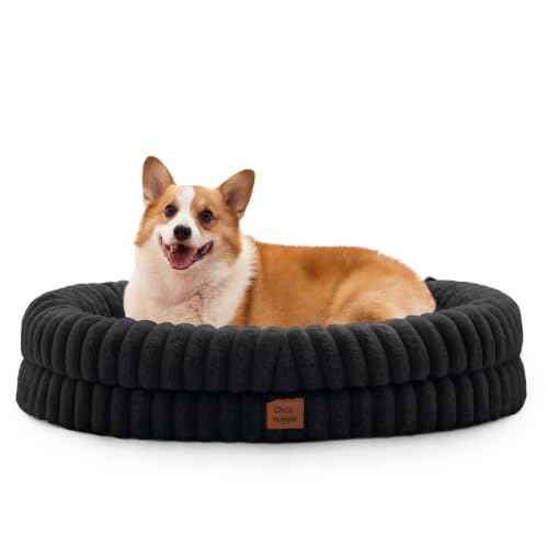 Orthopedic Dog Bed (Black / L(35*28*7))
