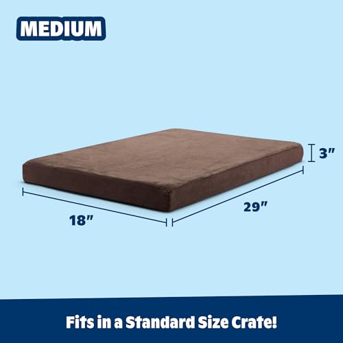 Orthopedic Dog Bed (Espresso / Medium)