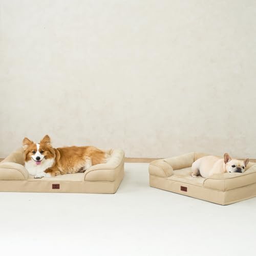 Orthopedic Dog Beds Large Sized Dog (Graige / 41.0"l X 27.0"w X 6.5"th)
