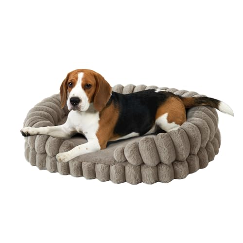 Calming Dog Bed for Medium Sized Dogs (Oatmeal / Medium)