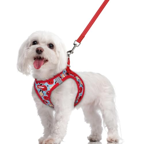 Dog Harness Medium Sized and Leash Set (Apple Pups / M (chest: 16 - 18.5"))