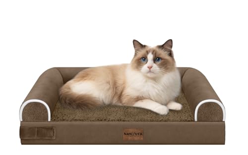 Orthopedic Dog Bed for Small Dogs (Coffee / 20.0"L x 14.0"W x 5.5"Th)