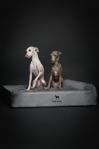 Large Dog Bed (Velvet - Grey / Large)