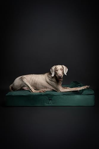 XL Dog Bed 45x35x9.1 Inch (Velvet - Dark Green / X-Large)