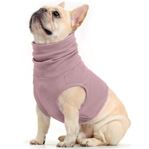 Cotton Dog Snood (Purple / L(Chest: 24"))