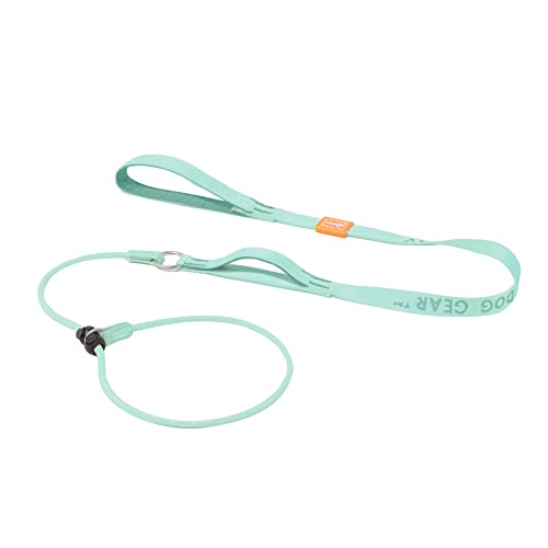 Slip Lead Dog Leash with 2 Spring (MintGreen / 5.0FT)