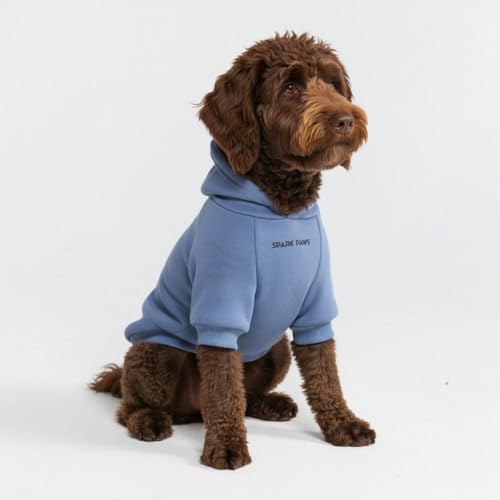 Dog Hoodie Buttery (Slate Blue / XX-Large)