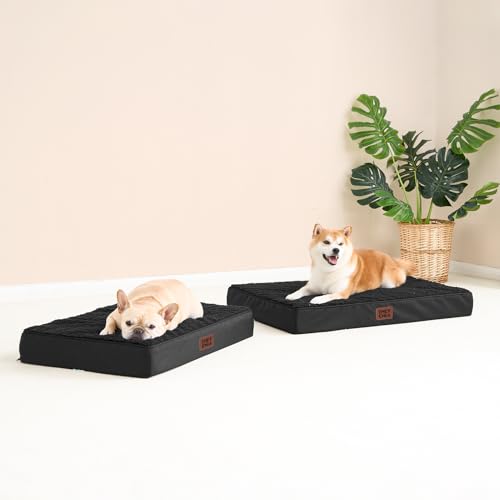 Orthopedic Dog Bed with Removable Washable Cover (30*20*3.5 inches / Black)