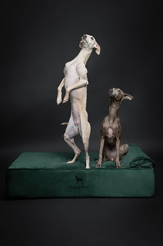 Large Dog Bed (Velvet - Dark Green / Large)