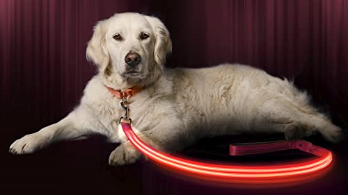 LED Light Up Dog Leash (6 Feet / Cotton Candy Pink)