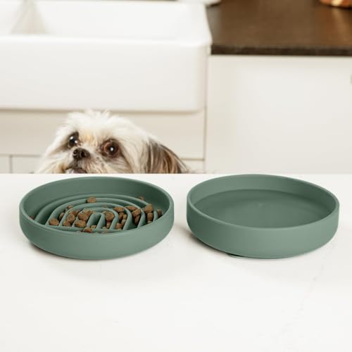 Slow Feeder Dog Bowl (Spruce / Small (6” Across x 1.25” Tall))