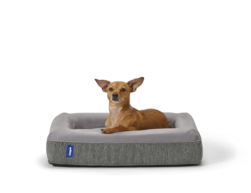 Dog Bed Plush Memory Foam (Gray / Medium)