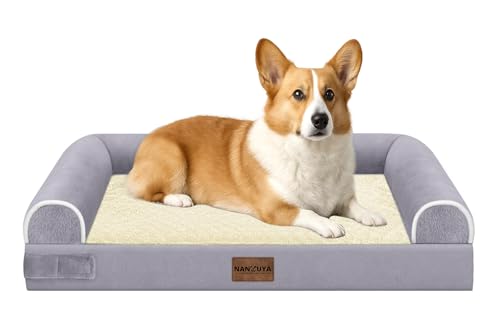 Orthopedic Dog Bed for Medium Dogs (Purple / 30.0"L x 20.0"W x 6.0"Th)