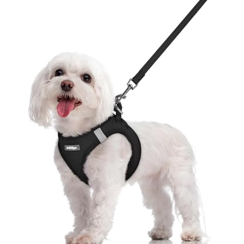 Dog Harness Medium Sized and Leash Set (Black / M (chest: 16 - 18.5"))