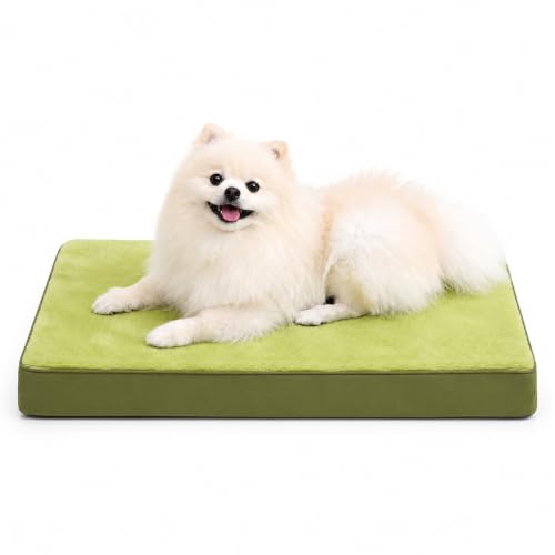 Waterproof Medium Dog Bed for Crate with Washable Cover (29.0"L x 18.0"W x 3.0"Th / Green)