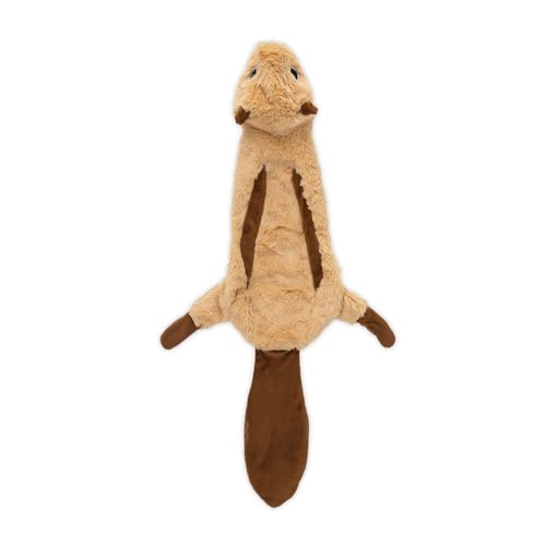 2-in-1 Stuffless Squeaky Dog Toy - Squirrel, Small (Squirrel / Small)