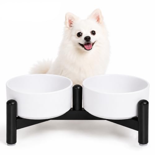 Raised Ceramic Dog Bowl Set with Stand (White / 2 Bowls - 1.6 Cups Each)