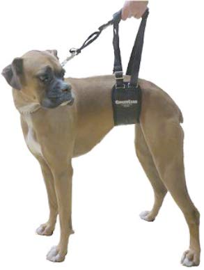 Dog Rear Sling Support Harness (Small - Female)