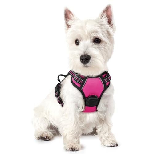 Dog Harness No Pull with 2 Leash Clips (X-Small / Hot Pink)