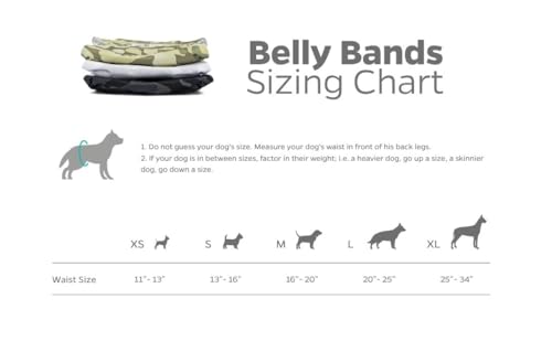 Washable Belly Bands for Male Dogs (Small (13-16") / Camo)