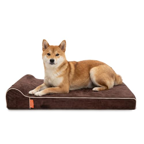 Orthopedic Memory Foam Extra Large Dog Bed with Pillow and Durable Water Proof Liner & Removable Washable Cover & Smart Design (40.0"L x 25.0"W x 5.5"Th / Chocolate)