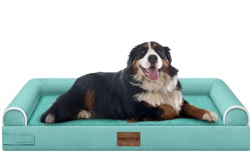 Orthopedic Dog Bed for Jumbo Dogs (Aqua Blue / 53.0"L x 42.0"W x 6.5"Th)