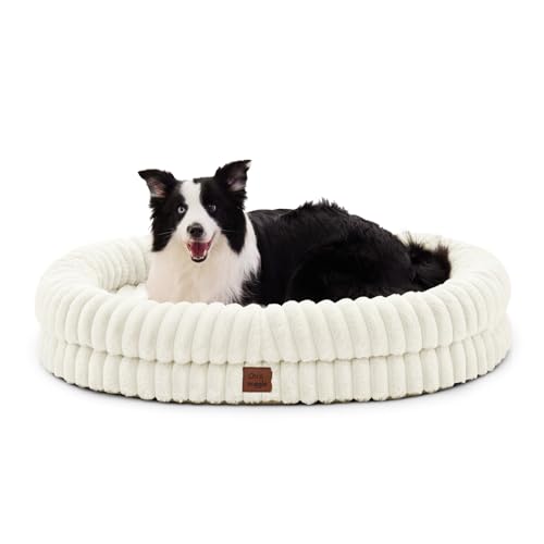 Orthopedic Dog Bed (Cream / XL(41*30*7))
