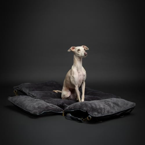 Small Dog Car Seat for Small Medium Pets with Harness Clip (Charcoal / Medium)