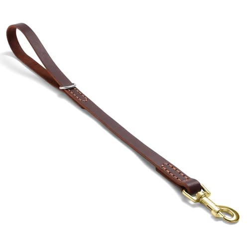 Leather Dog Leash (1.5 ft L x 0.75 in W)
