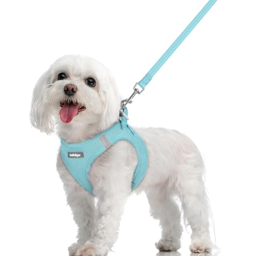 Dog Harness Medium Sized and Leash Set (Mint Blue / M (chest: 16 - 18.5"))
