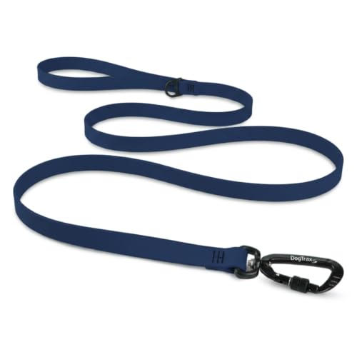 Essential Biothane Dog Leash (Navy Blue / 3/4 In x 5 Feet)