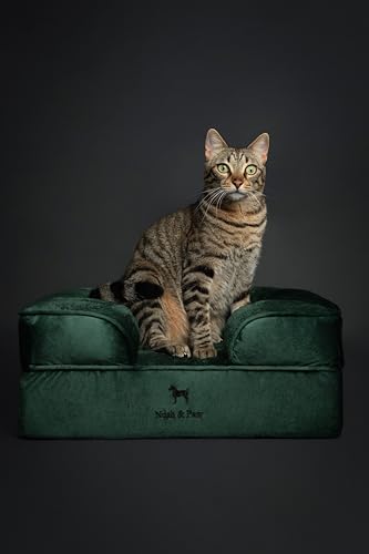 Small Dog Bed (Velvet - Dark Green / Small)