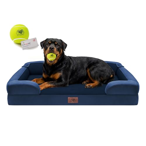 Waterproof Orthopedic Dog Bed for Extra Large Sized Dogs (45 x 35 x 9 in / Royal Blue)