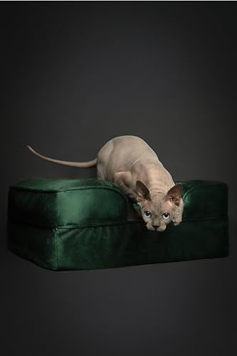 Small Dog Bed (Velvet - Dark Green / Small)
