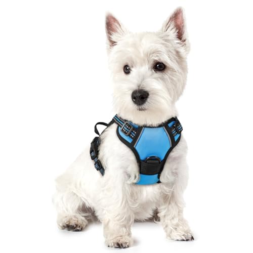 Dog Harness No Pull for Small Dogs with 2 Leash Clips (X-Small / Blue)