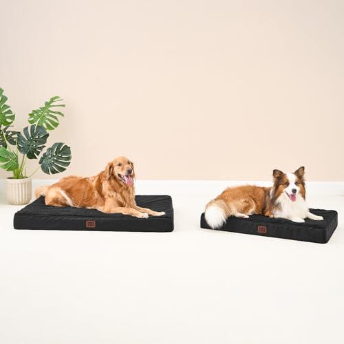 Orthopedic Dog Bed Large with Removable Washable Cover (41*27*3.5 inches / Black)