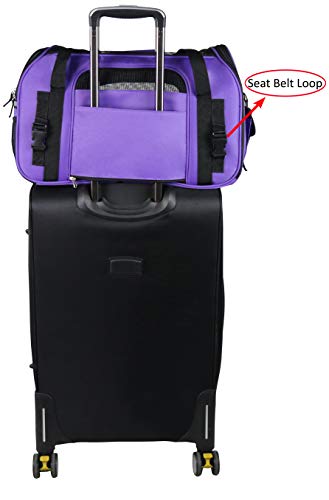 Soft Sided Pet Carrier for Cats & Small Dogs (21.0"L x 12.0"W x 13.0"H / Purple)