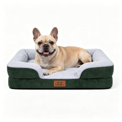 Orthopedic Dog Bed Medium Size Dog (Green / 30.0" L x 20.0" W x 6.3" Th)