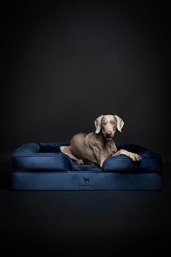 XL Dog Bed 45x35x11 Inch (Velvet - Navy Blue / X-Large)