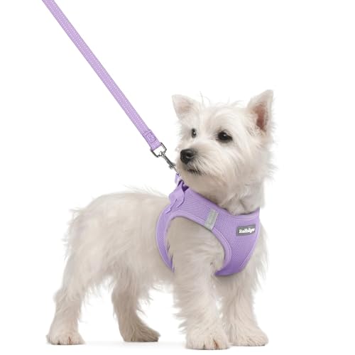Dog Harness Small Sized and Leash Set (Light Purple / S (chest: 15.1 - 16.5"))
