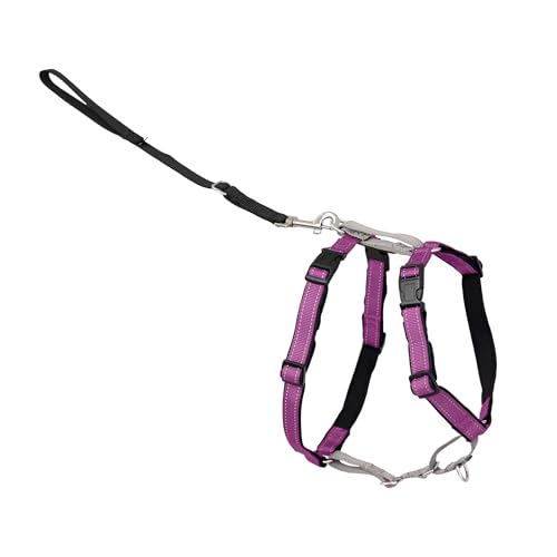 Easy Walk 3 in 1 No Pull Dog Harness (Plum / Medium (Pack of 1))