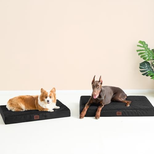 Orthopedic Dog Bed Large with Removable Washable Cover (36*27*3.5 inches / Black)