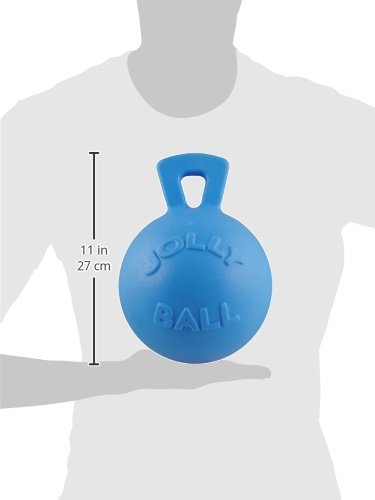Tug-n-Toss Heavy Duty Dog Toy Ball with Handle, 8 Inches/Large, Blueberry (Blueberry / Large (8 in))