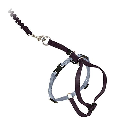 Come With Me Kitty Harness and Bungee Leash (Medium (Pack of 1) / Black)