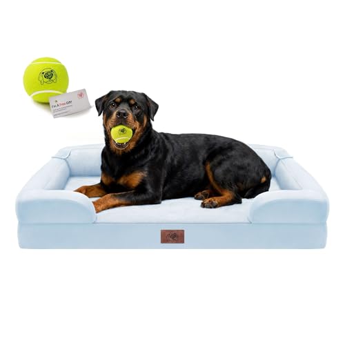 Waterproof Orthopedic Dog Bed for Extra Large Sized Dogs (45 x 35 x 9 in / Light Blue)