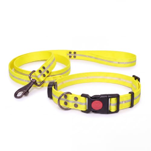 LED Dog Collar & 4 Foot Leash (Yellow)