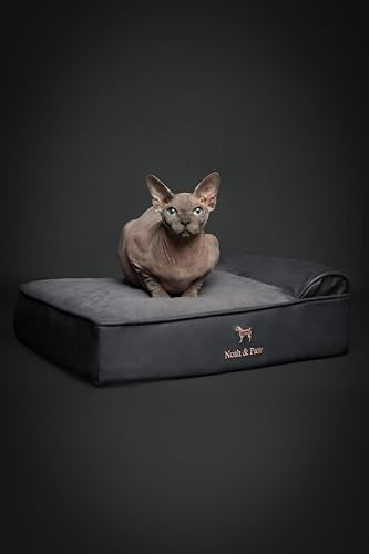 Small Dog Bed (Vegan Leather - Charcoal / Small)